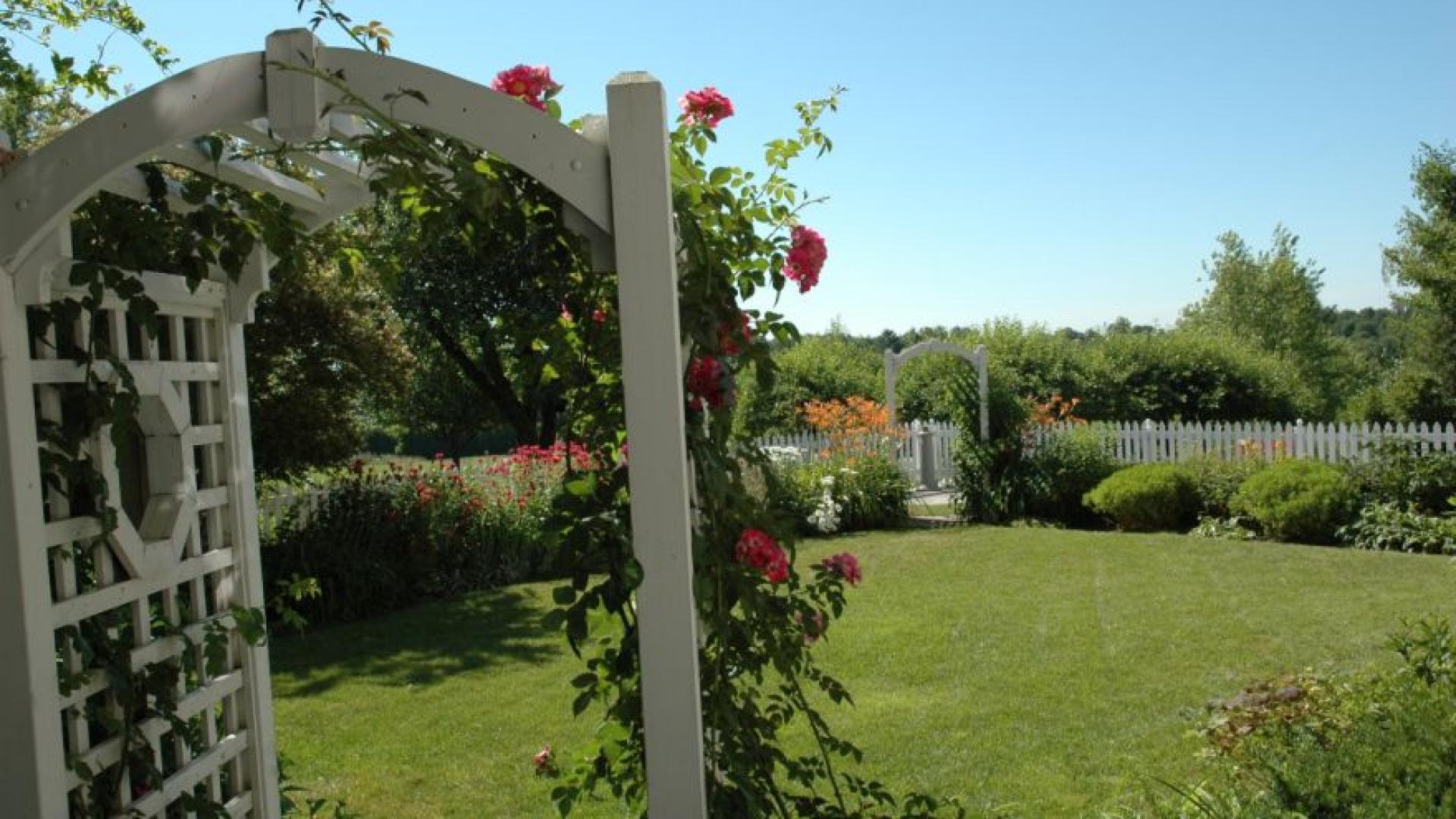 Garden with grass lawn at centre, bordered by flower gardens and white picket fence, viewed through vine-covered white wooden arbor.