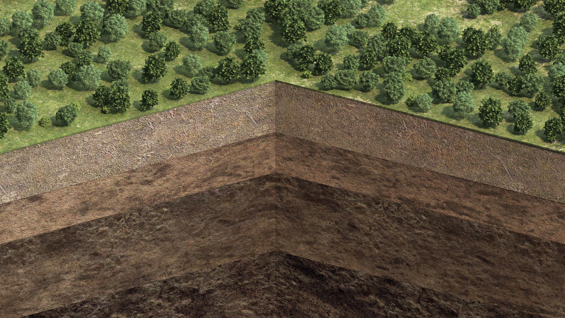 Illustrated cross section of soil, showing layers of varying colour and texture