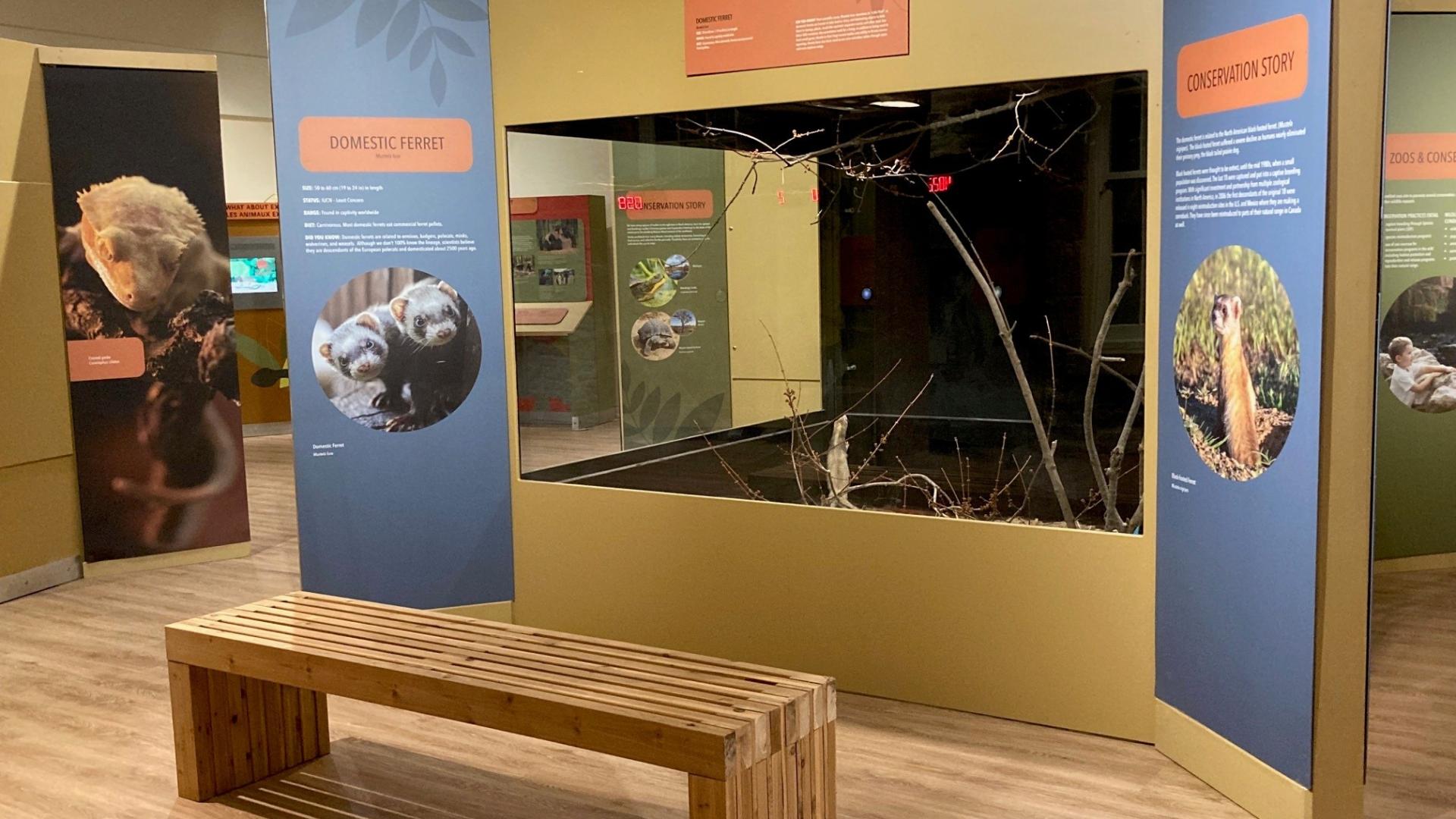Ferret Habitat with informational signs and a bench in front.