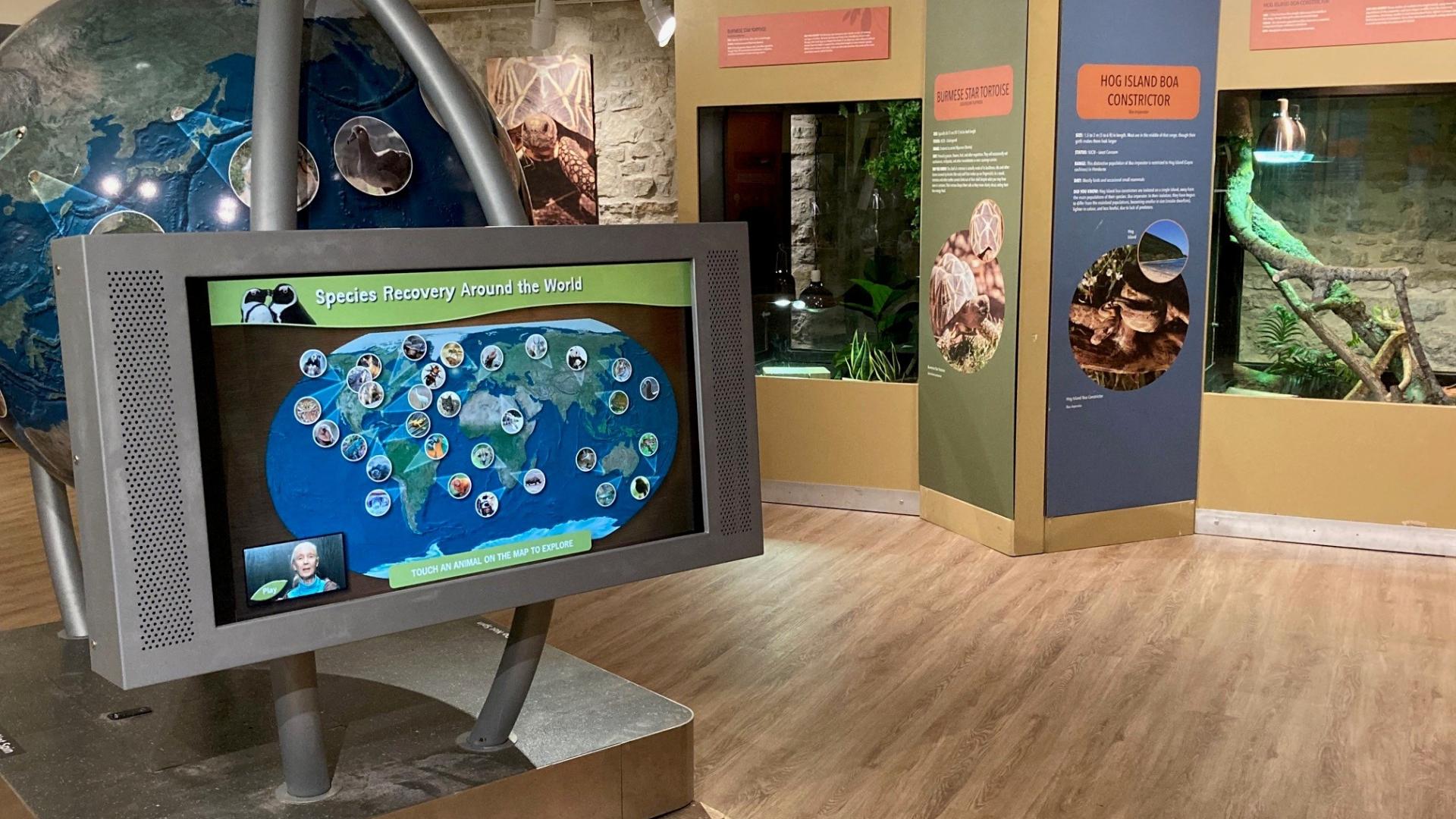 Wildlife Rescue exhibit with interactive map activity and animal habitats in the background.
