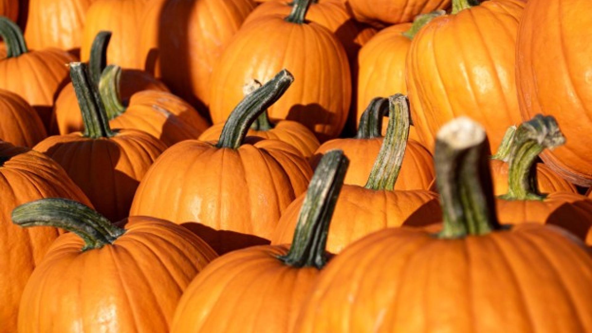 Pumpkins
