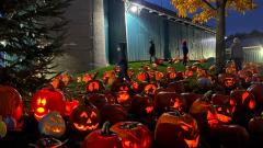 Dozens of Jack-o-lanterns lit up at dusk on the lawn outside the museum barn